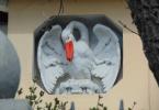 Пеликан — символ самопожертвования Пеликан кормящий птенцов своей кровью чей символ